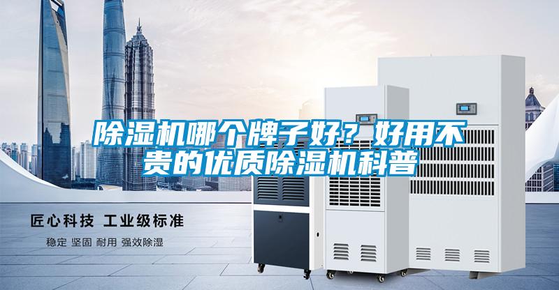 除濕機哪個牌子好？好用不貴的優質除濕機科普