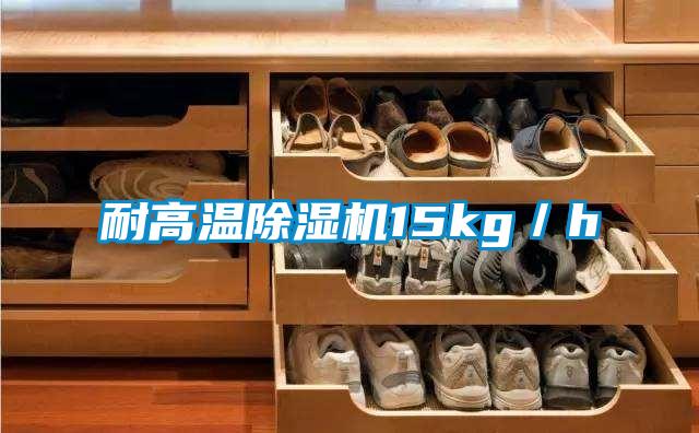 耐高溫除濕機15kg/h