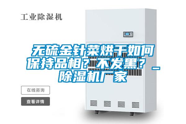 無硫金針菜烘干如何保持品相?不發黑?_除濕機廠家