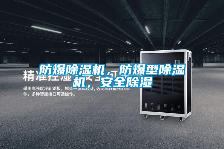 防爆除濕機,防爆型除濕機,安全除濕