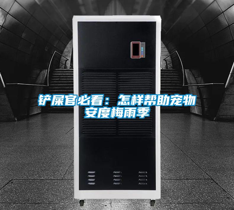 鏟屎官必看:怎樣幫助寵物安度梅雨季