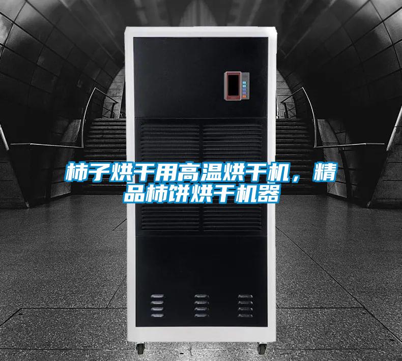 柿子烘干用高溫烘干機，精品柿餅烘干機器