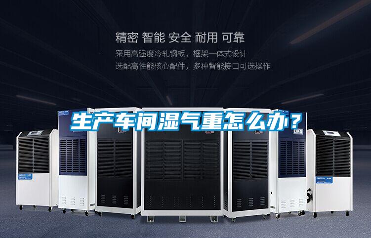 生產(chǎn)車(chē)間濕氣重怎么辦？