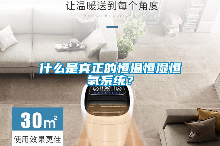 什么是真正的恒溫恒濕恒氧系統(tǒng)?