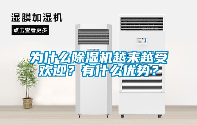 為什么除濕機越來越受歡迎？有什么優勢？