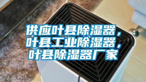 供應葉縣除濕器，葉縣工業除濕器，葉縣除濕器廠家
