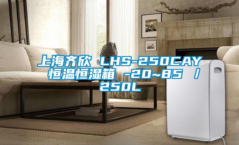 上海齊欣 LHS-250CAY 恒溫恒濕箱 -20~85℃/250L