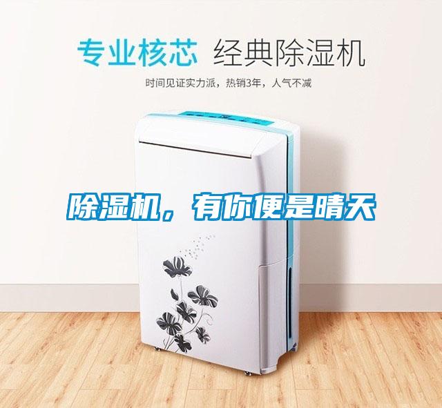 除濕機(jī),有你便是晴天