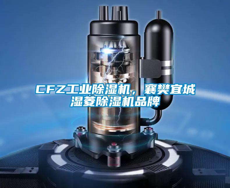 CFZ工業(yè)除濕機,襄樊宜城濕菱除濕機品牌