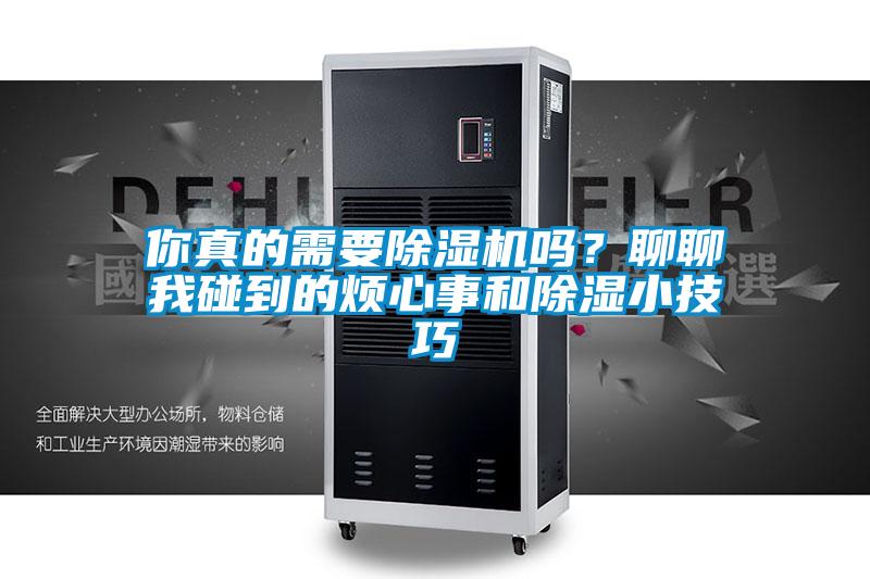 你真的需要除濕機嗎?聊聊我碰到的煩心事和除濕小技巧