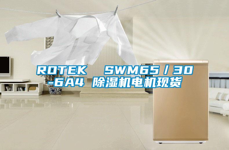 ROTEK SWM65/30-6A4 除濕機電機現(xiàn)貨