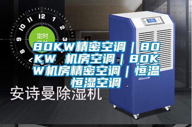 80KW精密空調|80KW 機房空調|80KW機房精密空調|恒溫恒濕空調