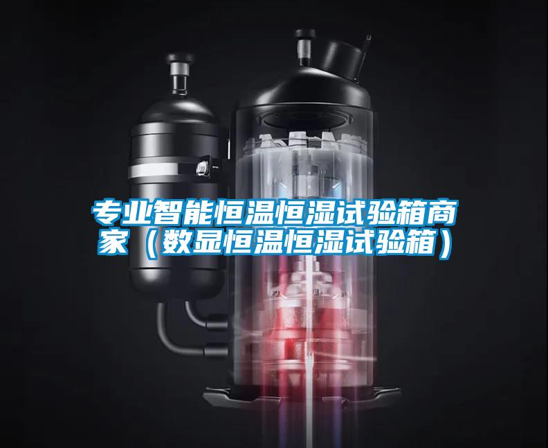 專業智能恒溫恒濕試驗箱商家(數顯恒溫恒濕試驗箱)
