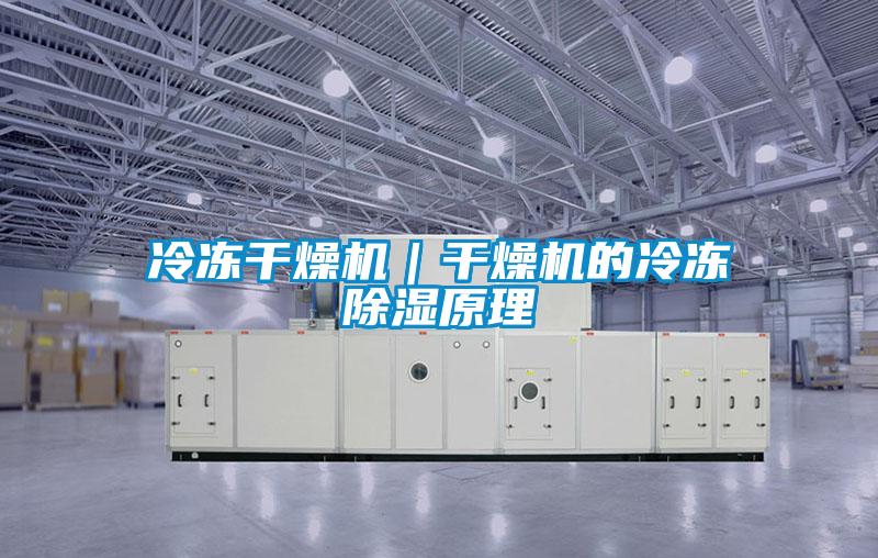 冷凍干燥機(jī)|干燥機(jī)的冷凍除濕原理