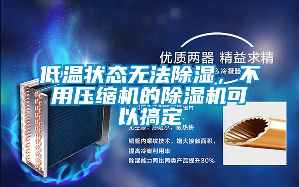 低溫狀態無法除濕,不用壓縮機的除濕機可以搞定