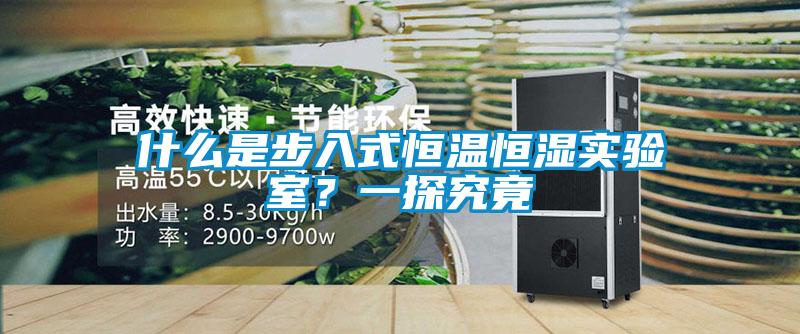 什么是步入式恒溫恒濕實(shí)驗(yàn)室?一探究竟