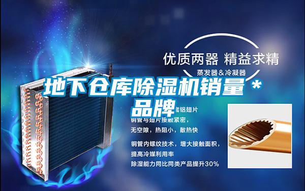 地下倉庫除濕機銷量*品牌