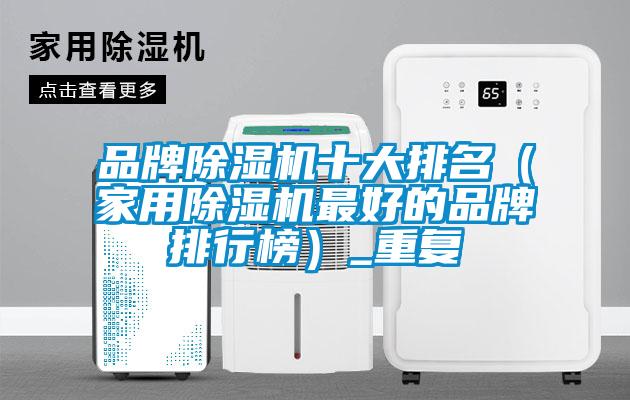 品牌除濕機十大排名(家用除濕機最好的品牌排行榜)_重復