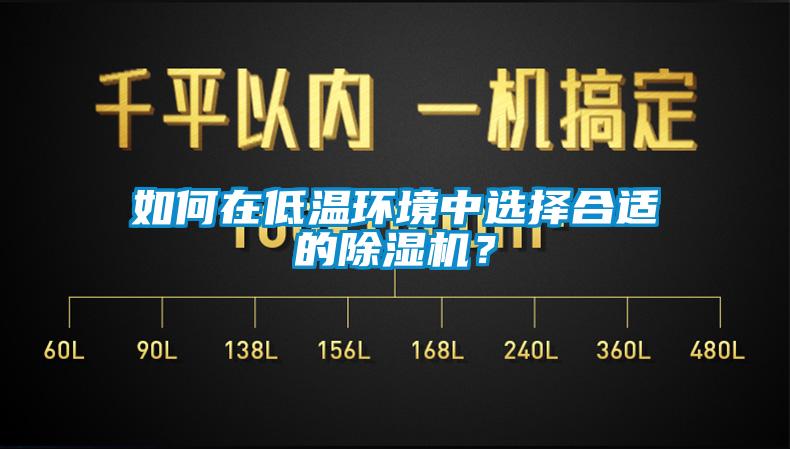 如何在低溫環(huán)境中選擇合適的除濕機?