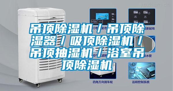 吊頂除濕機(jī)/吊頂除濕器/吸頂除濕機(jī)/吊頂抽濕機(jī)/浴室吊頂除濕機(jī)