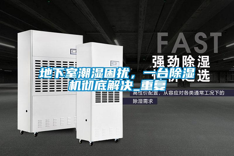 地下室潮濕困擾，一臺除濕機徹底解決_重復