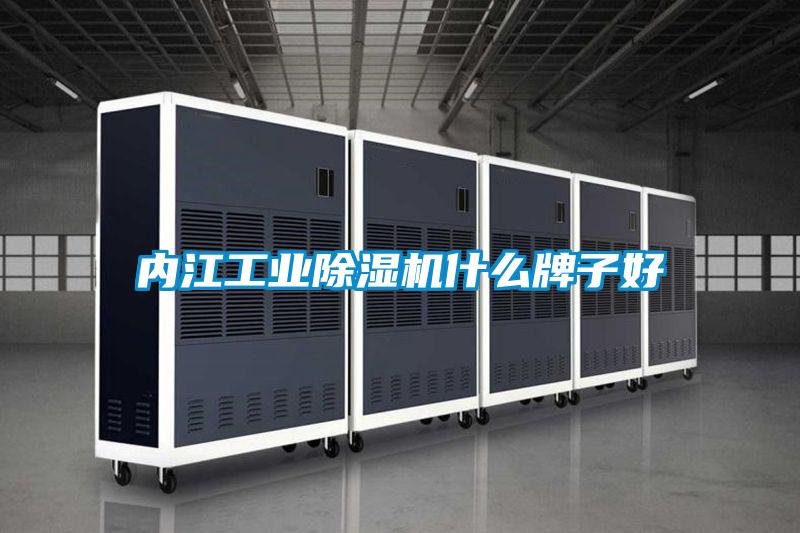內江工業(yè)除濕機什么牌子好
