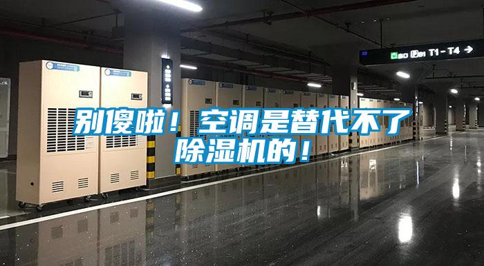 別傻啦！空調是替代不了除濕機的！