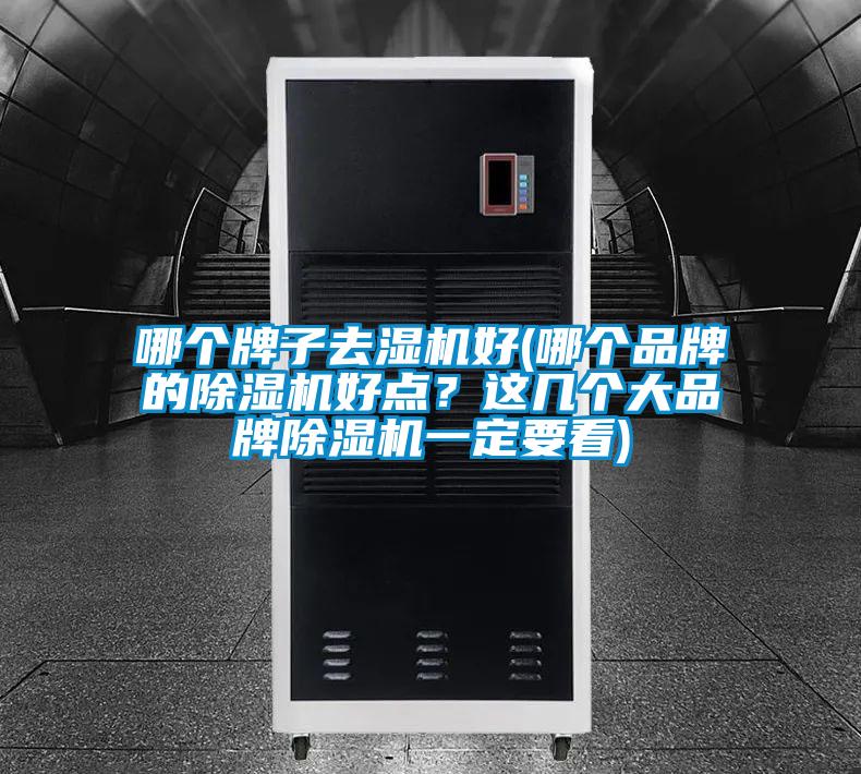 哪個牌子去濕機好(哪個品牌的除濕機好點?這幾個大品牌除濕機一定要看)