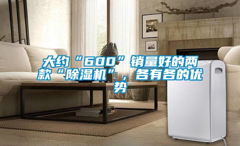 大約“600”銷量好的兩款“除濕機(jī)”，各有各的優(yōu)勢