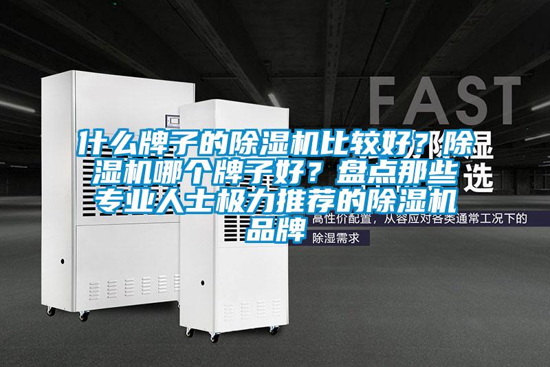 什么牌子的除濕機比較好?除濕機哪個牌子好?盤點那些專業人士極力推薦的除濕機品牌