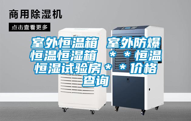 室外恒溫箱 室外防爆恒溫恒濕箱 **恒溫恒濕試驗房**價格查詢