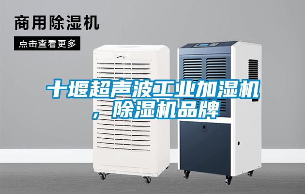 十堰超聲波工業加濕機,除濕機品牌