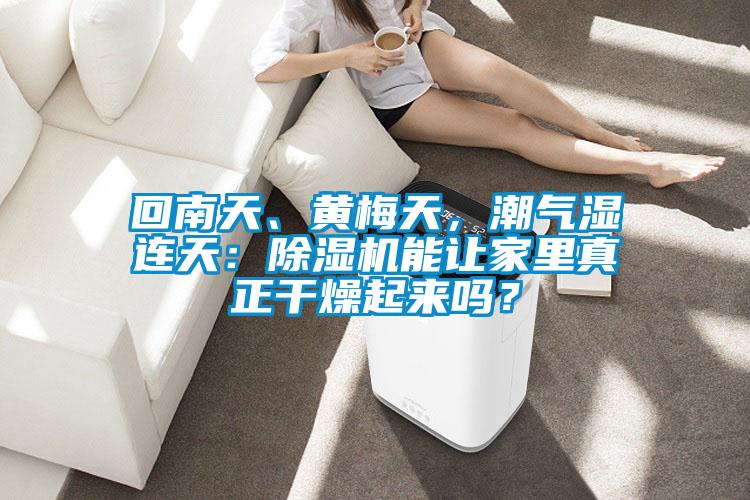回南天、黃梅天,潮氣濕連天:除濕機能讓家里真正干燥起來嗎?