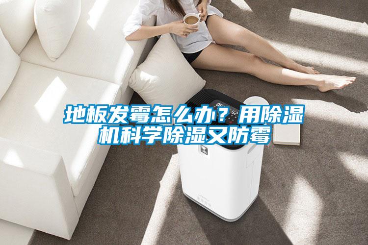 地板發(fā)霉怎么辦?用除濕機(jī)科學(xué)除濕又防霉