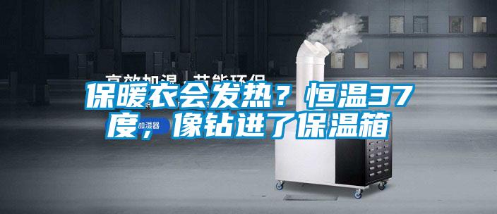 保暖衣會發熱？恒溫37度，像鉆進了保溫箱
