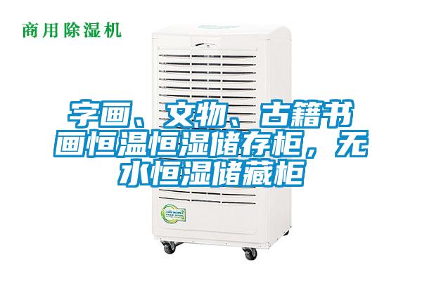 字畫、文物、古籍書畫恒溫恒濕儲存柜,無水恒濕儲藏柜