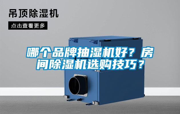 哪個品牌抽濕機好？房間除濕機選購技巧？