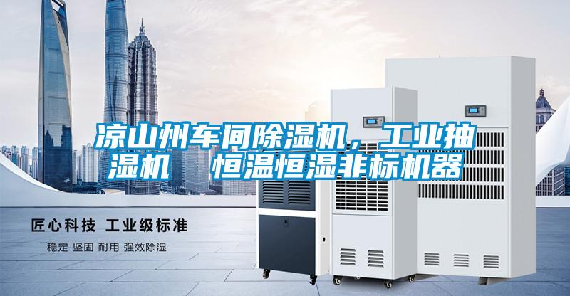 涼山州車間除濕機，工業抽濕機  恒溫恒濕非標機器