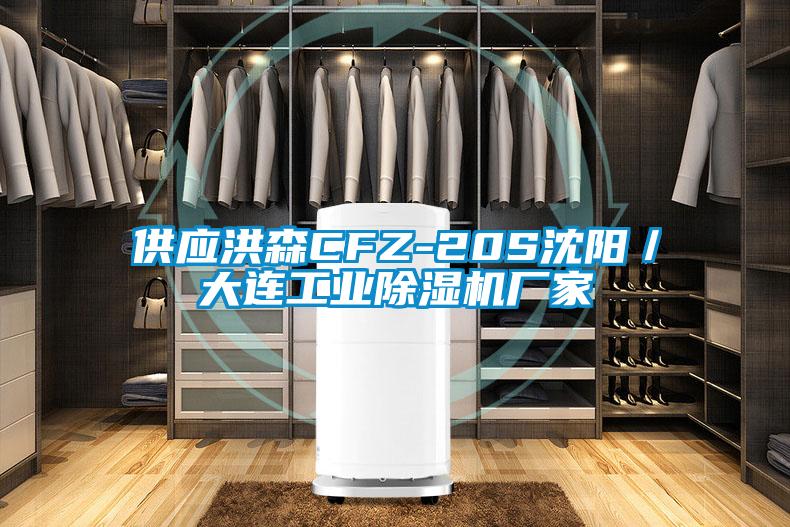 供應洪森CFZ-20S沈陽/大連工業除濕機廠家
