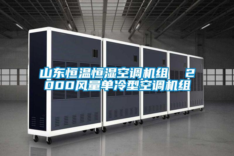 山東恒溫恒濕空調機組 2000風量單冷型空調機組