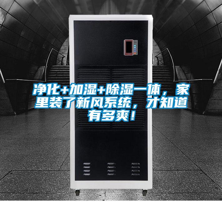 凈化+加濕+除濕一體,家里裝了新風系統,才知道有多爽!