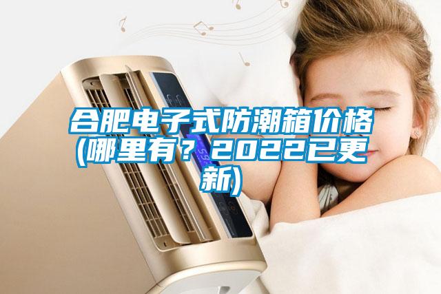 合肥電子式防潮箱價格(哪里有?2022已更新)