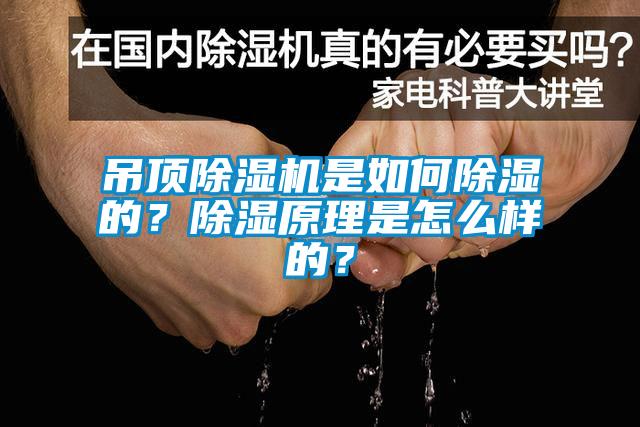 吊頂除濕機是如何除濕的?除濕原理是怎么樣的?