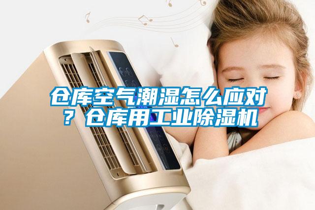 倉庫空氣潮濕怎么應對?倉庫用工業除濕機