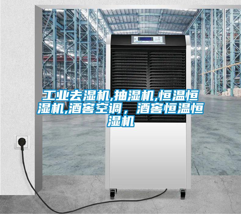 工業去濕機,抽濕機,恒溫恒濕機,酒窖空調,酒窖恒溫恒濕機