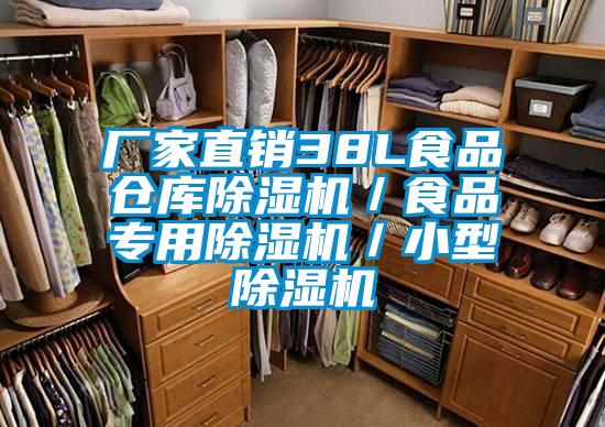廠家直銷38L食品倉庫除濕機/食品專用除濕機/小型除濕機