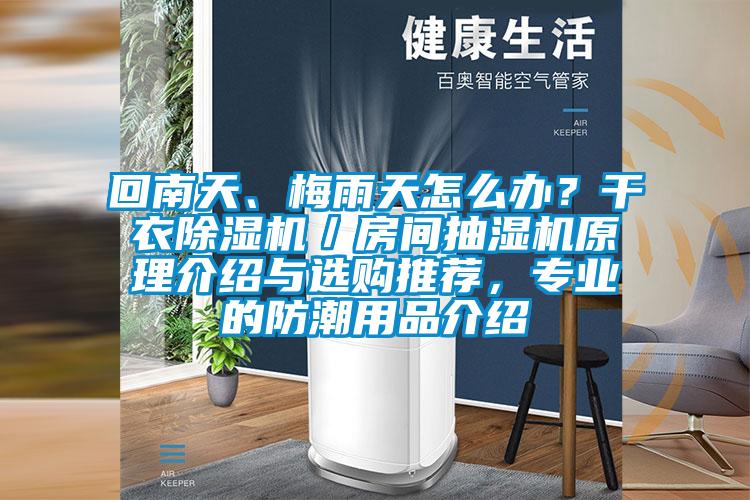 回南天、梅雨天怎么辦?干衣除濕機/房間抽濕機原理介紹與選購推薦,專業的防潮用品介紹