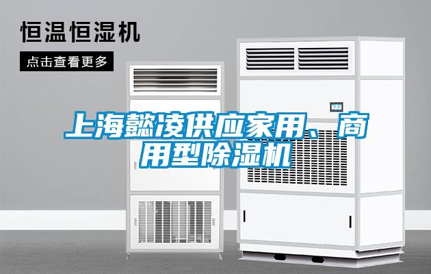上海懿凌供應(yīng)家用、商用型除濕機