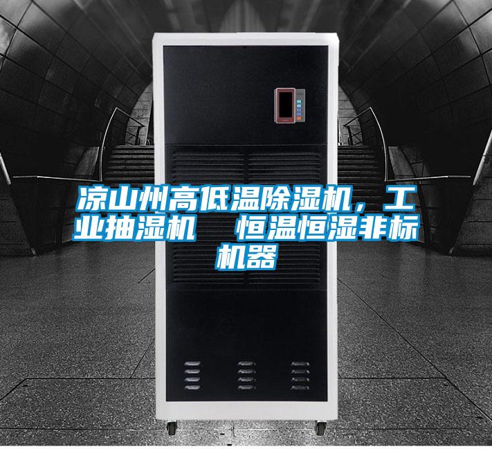 涼山州高低溫除濕機,工業抽濕機 恒溫恒濕非標機器
