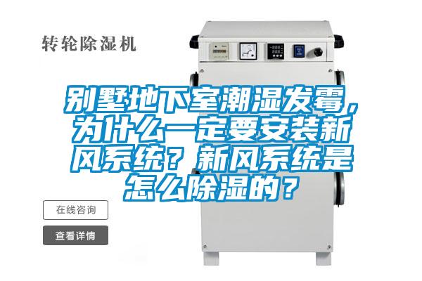 別墅地下室潮濕發霉，為什么一定要安裝新風系統？新風系統是怎么除濕的？
